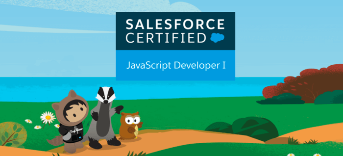 JavaScript Developer I Certification