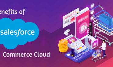 B2B and B2C Salesforce Commerce cloud