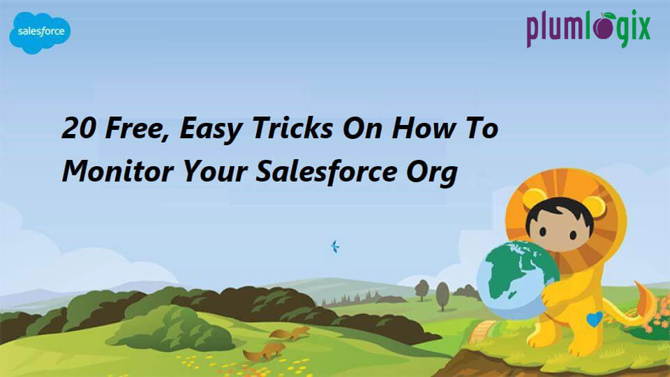 how to monitor salesforce org