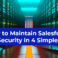 Maintain Salesforce Data Security