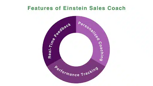 Features of Einstein Sales Coach